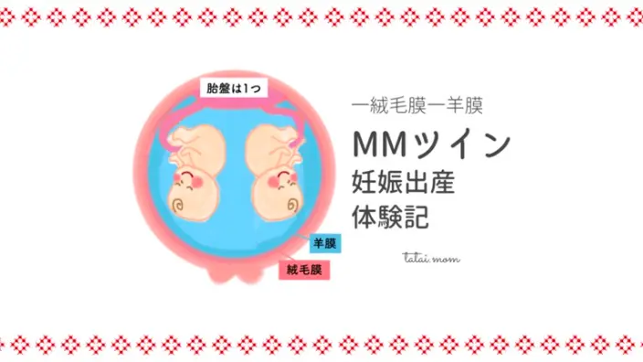 MMツイン　妊娠出産　体験記　ブログ